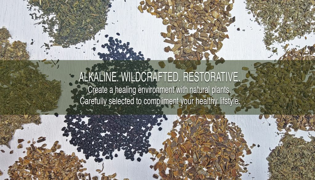 MOCK-UP-HOME-PAGE-ALKALINE-HERBS-GRAPHIC