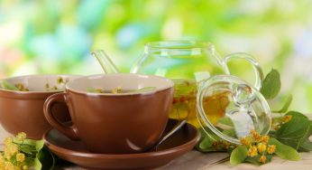 Exploring the Effectiveness of Chickweed Tea for Weight Loss